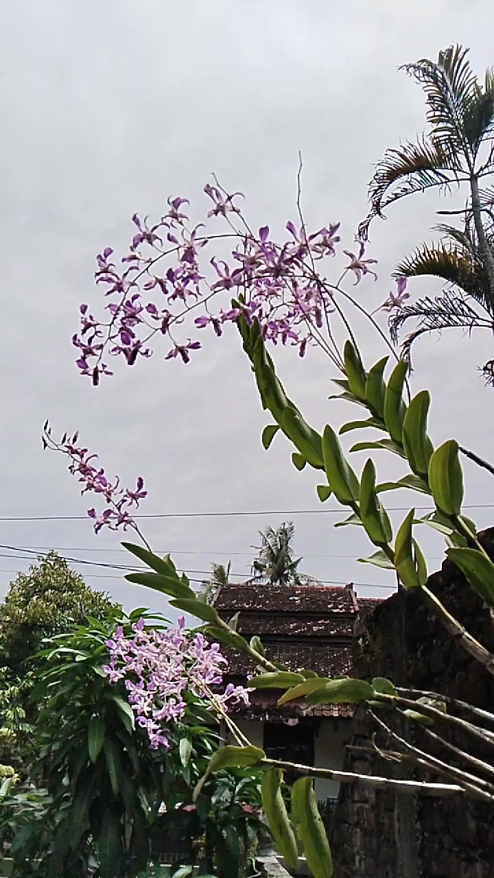 @Tiyang jogja