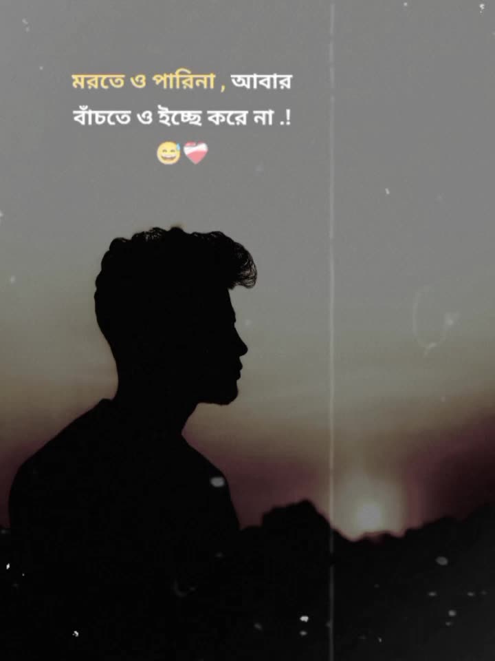 @đ SMâSoirfâđŦ