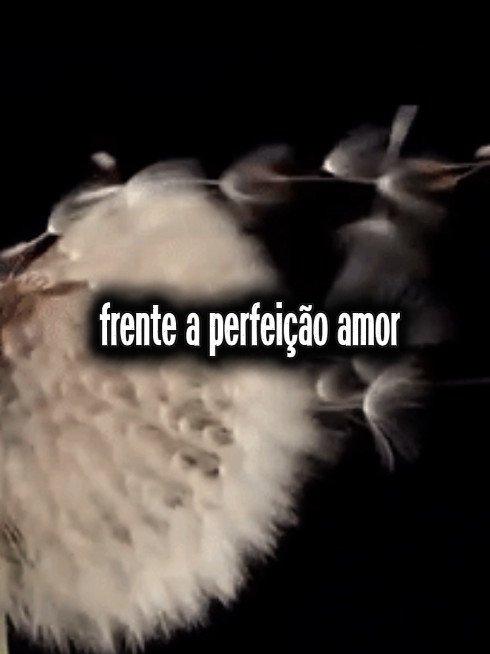 @musicaforyou2