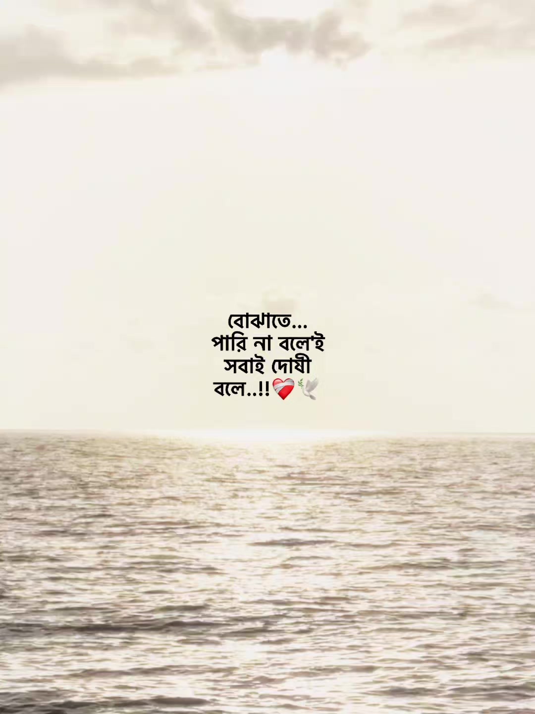 @Someone :)🤍🕊️✨