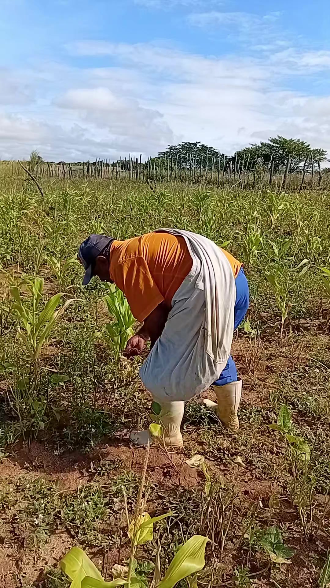 @vida nó Campo 🌵🏜
