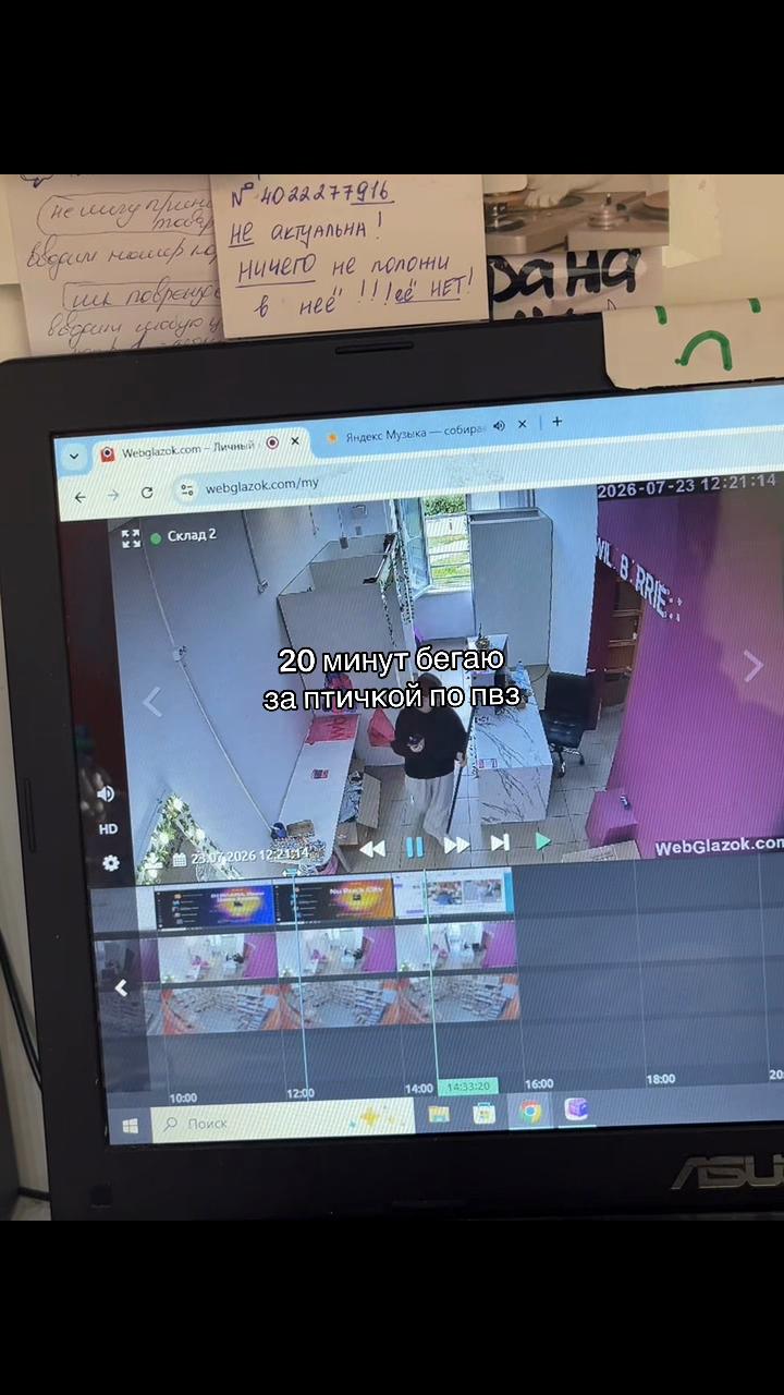 @софка🐈⬛