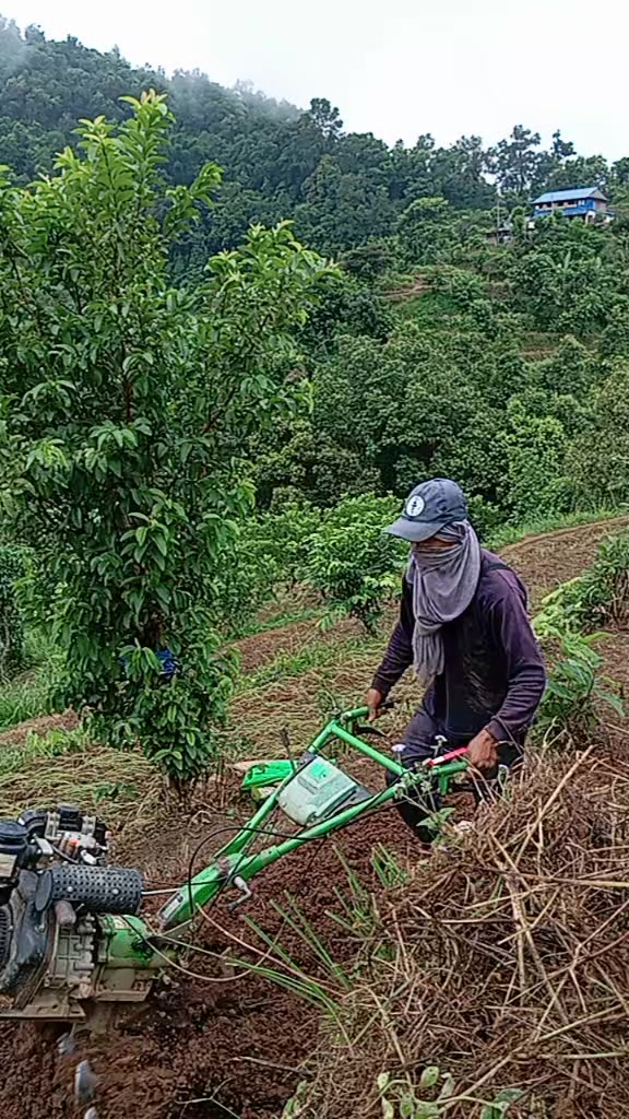 @योगिता गुरुङ