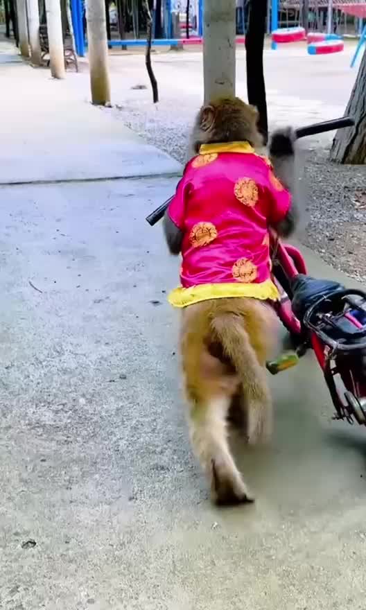 @Funny