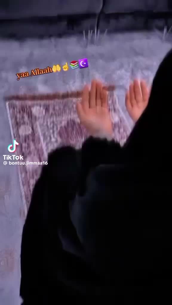@obsee🇨🇦🇨🇦🫶