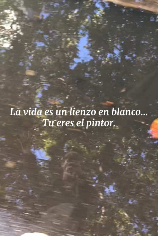 @cocoo_rem