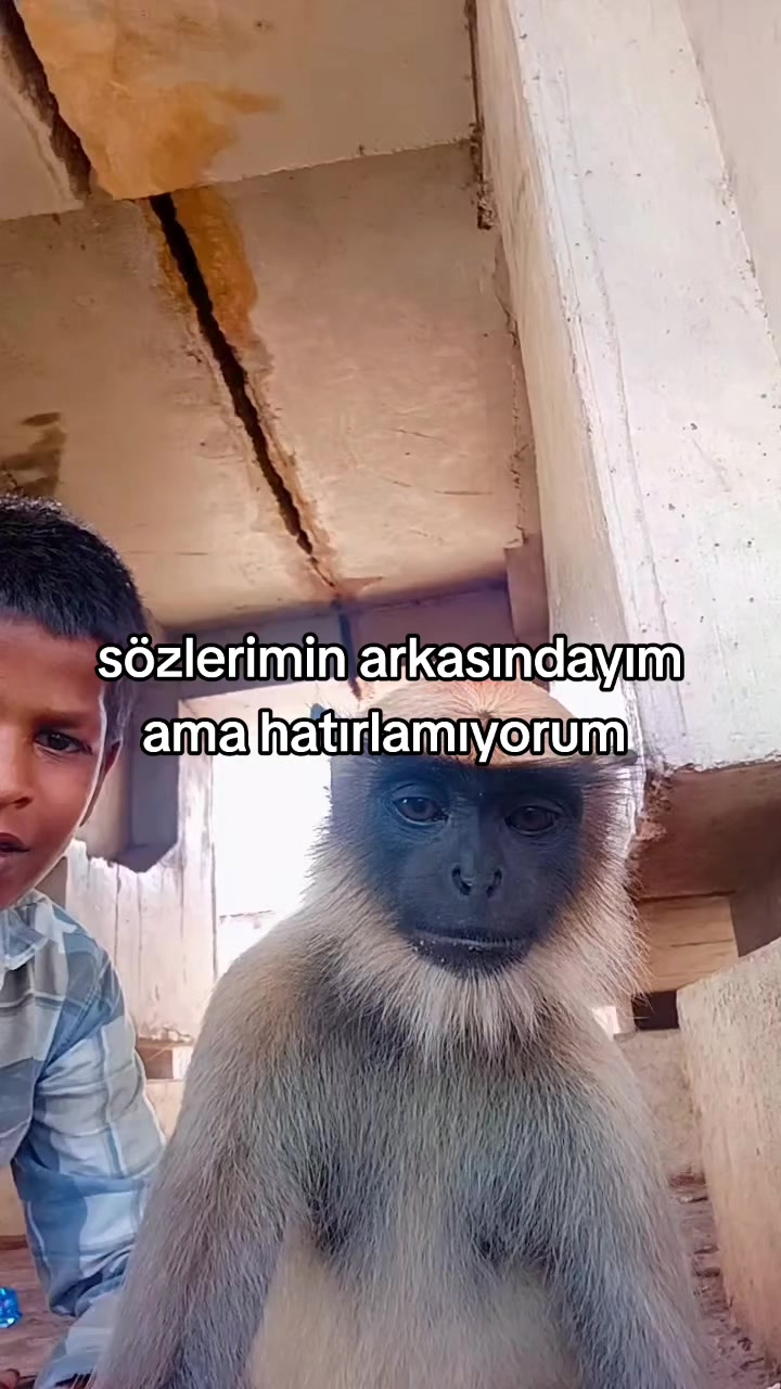 @rolland
