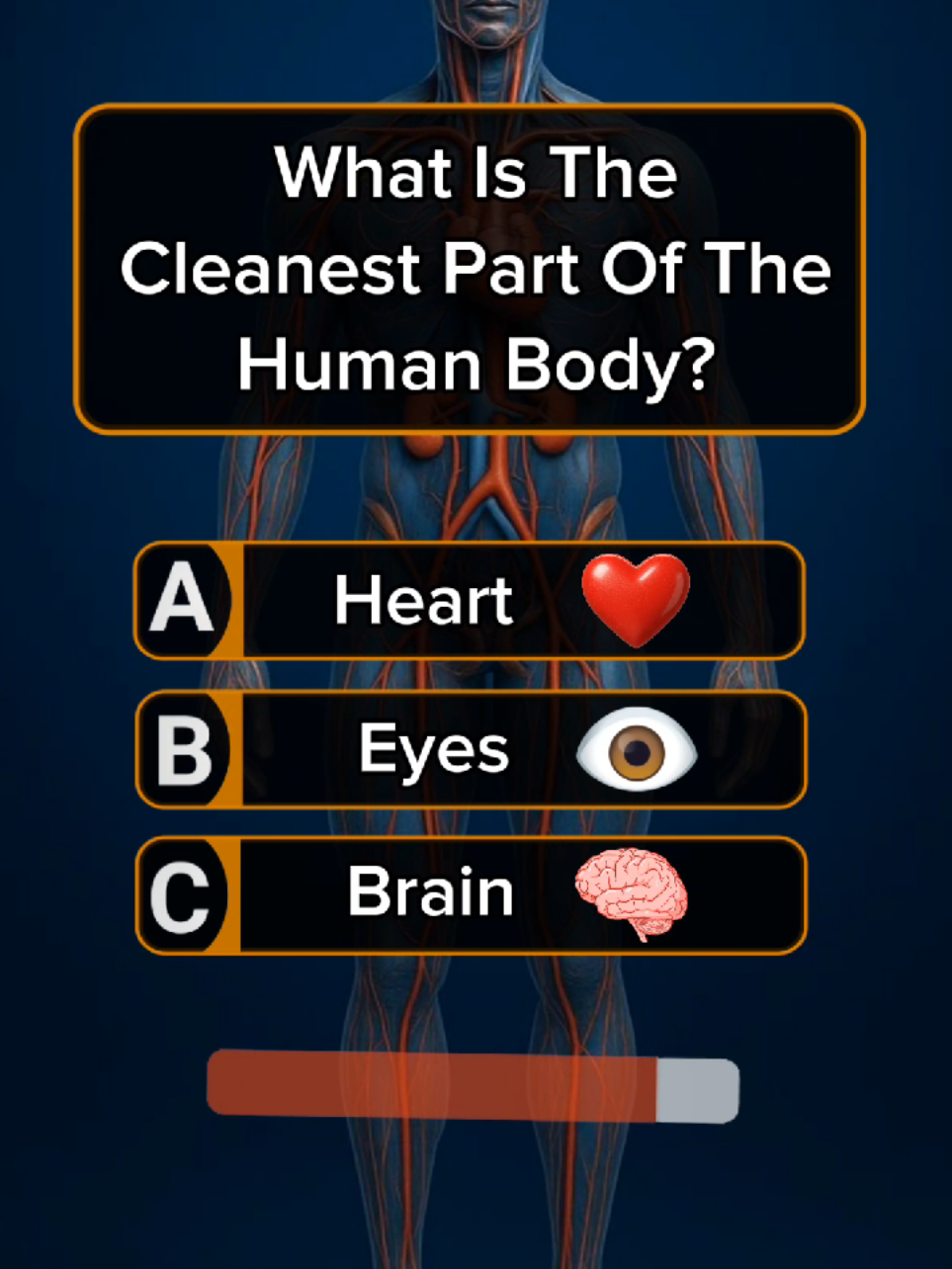 @Quiz Whiz