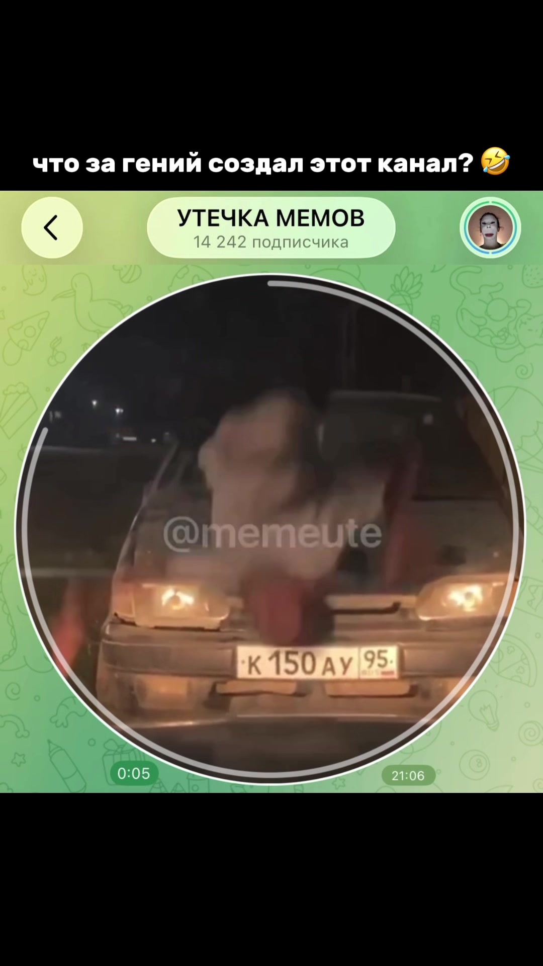@тгк: memeute