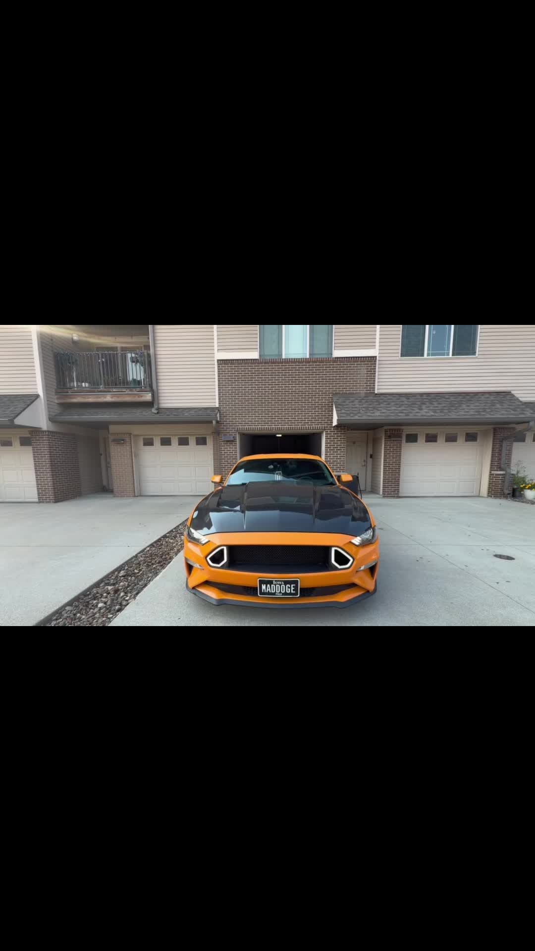 @LaVidaDeBori787PR🇵🇷🐺