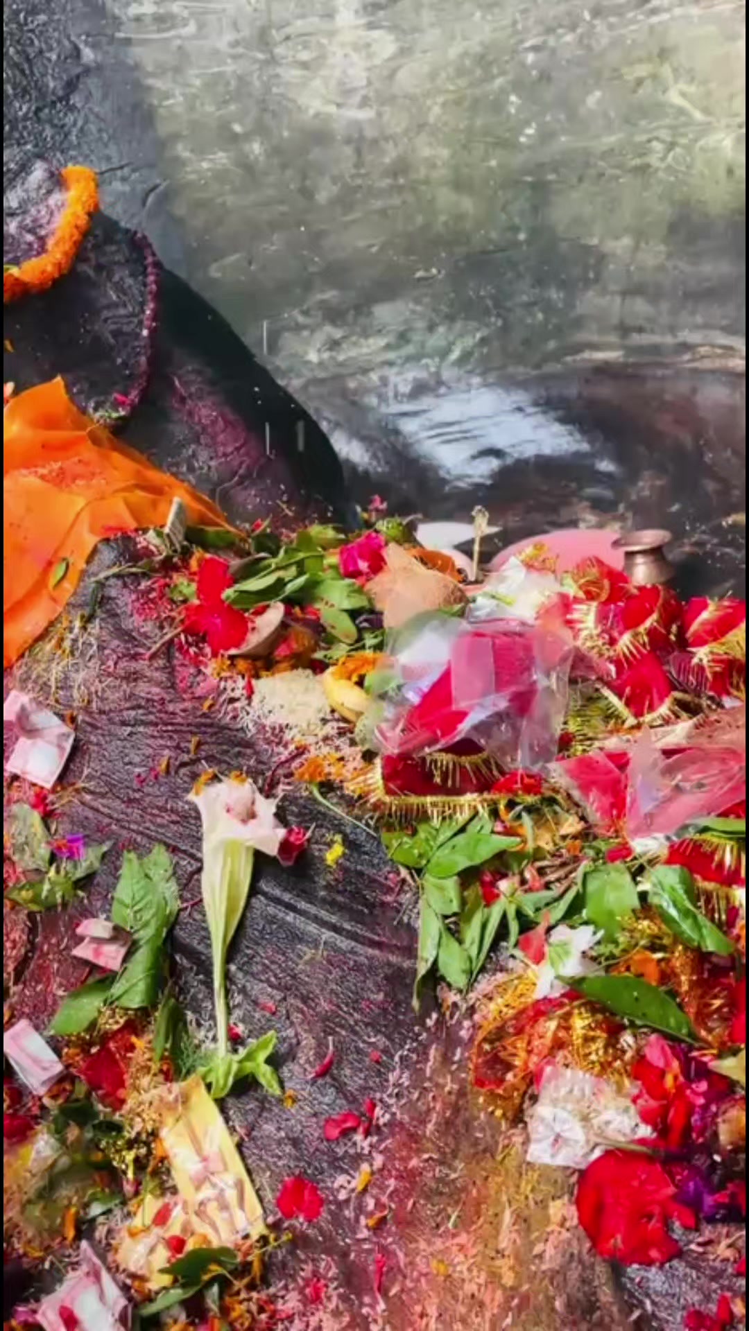 @sabitrinepal58