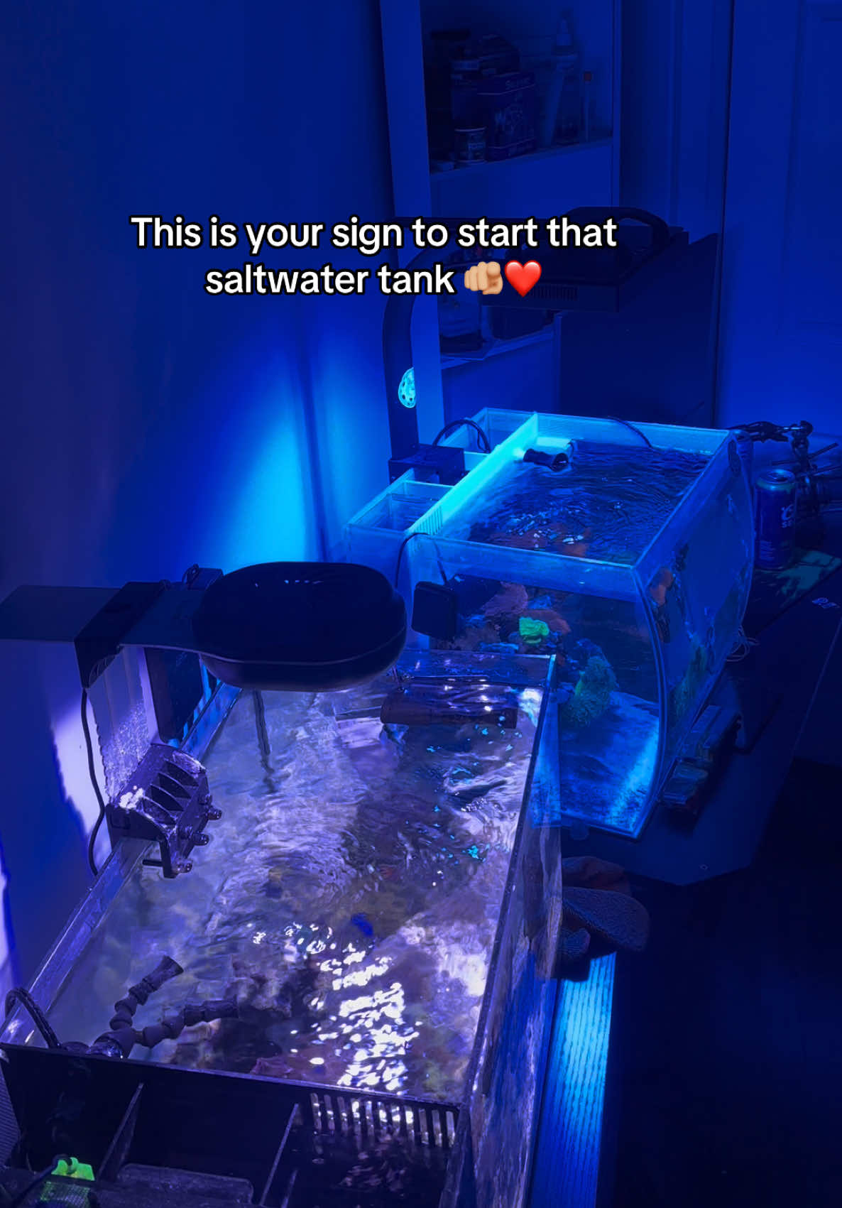 @ReefSync