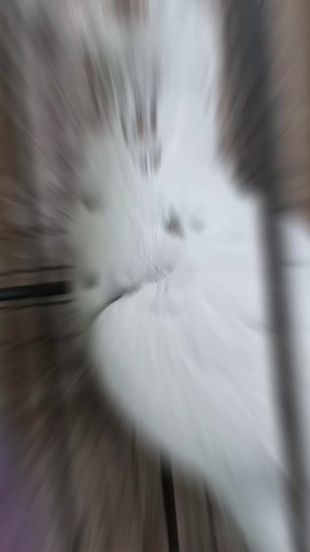 @paulse
