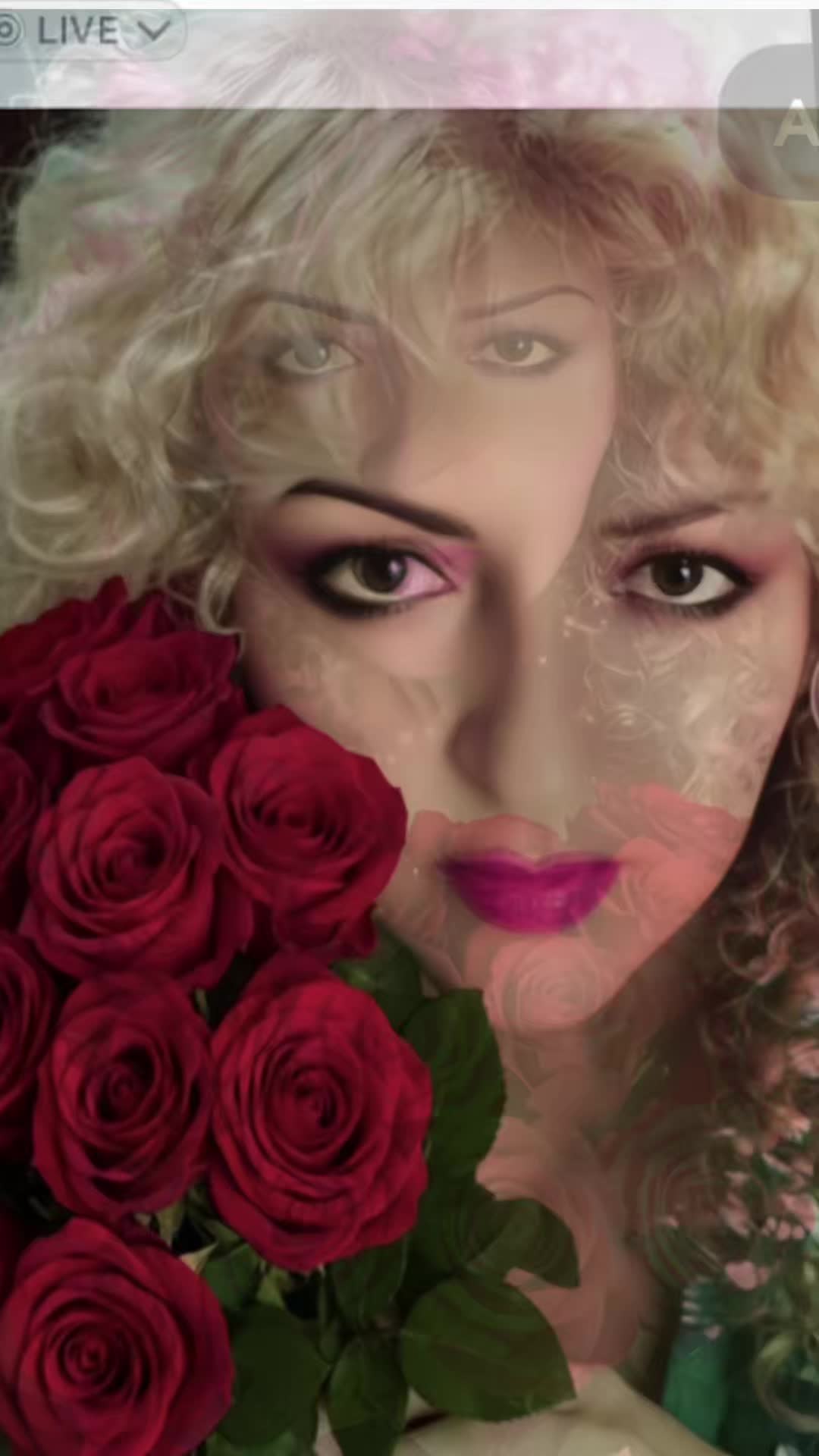 @guadalupearaiza335