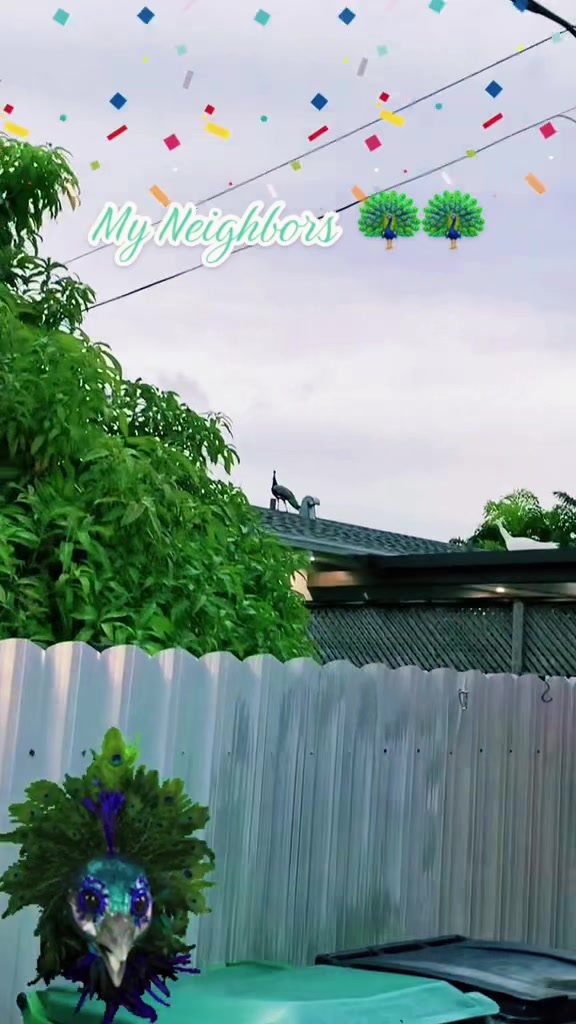 @Jacquie28