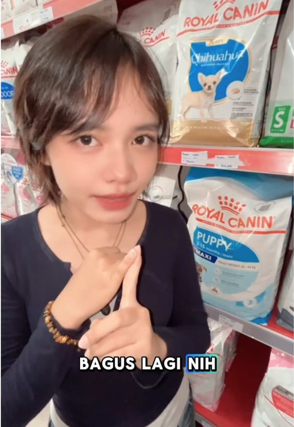 @harapanindopetnusantara