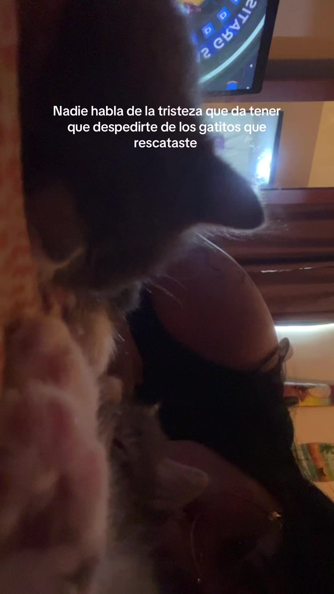 @Anna García