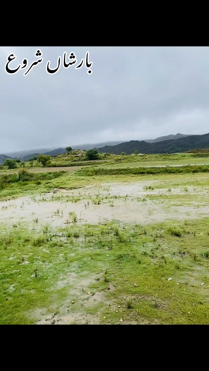 @اعوان زرعی فارم 🌾