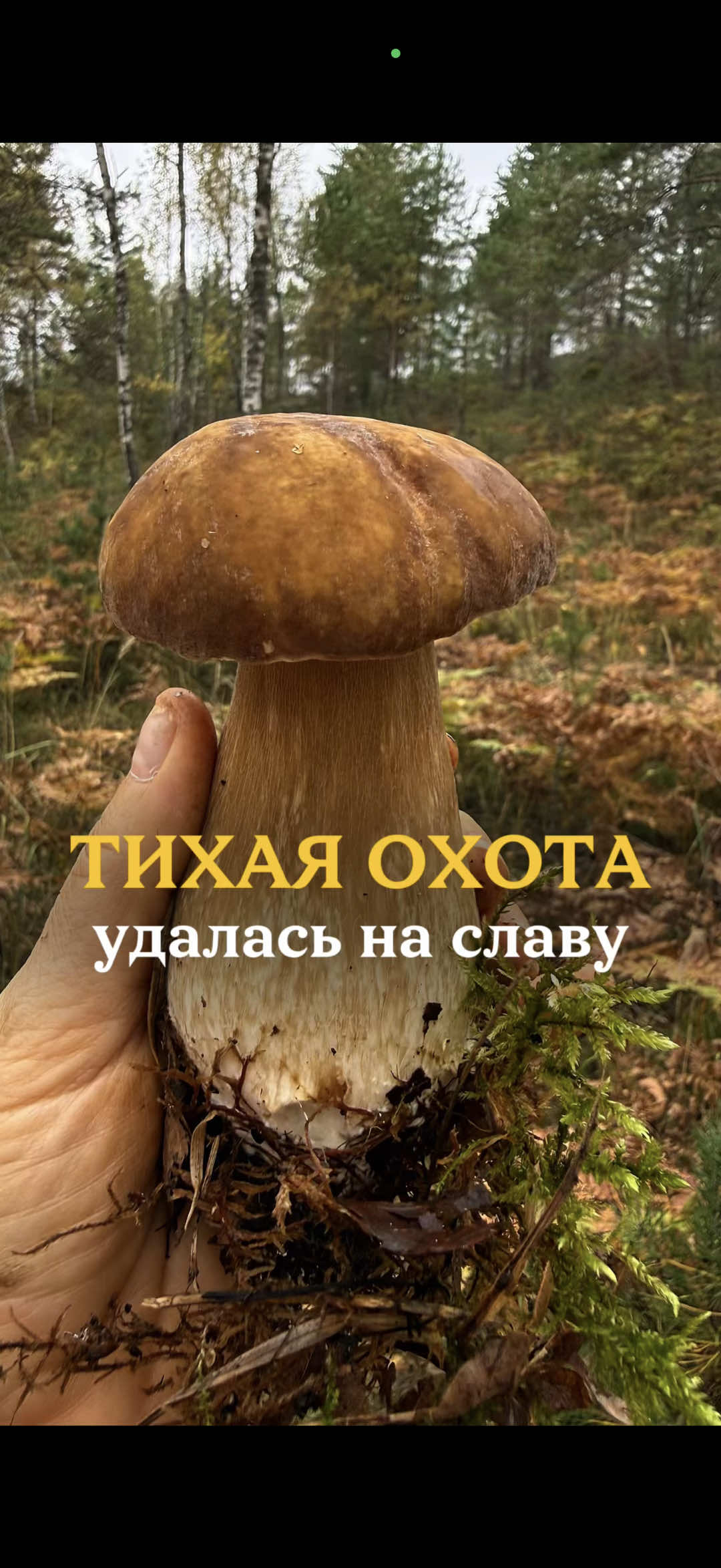@Наталья Карпиевич