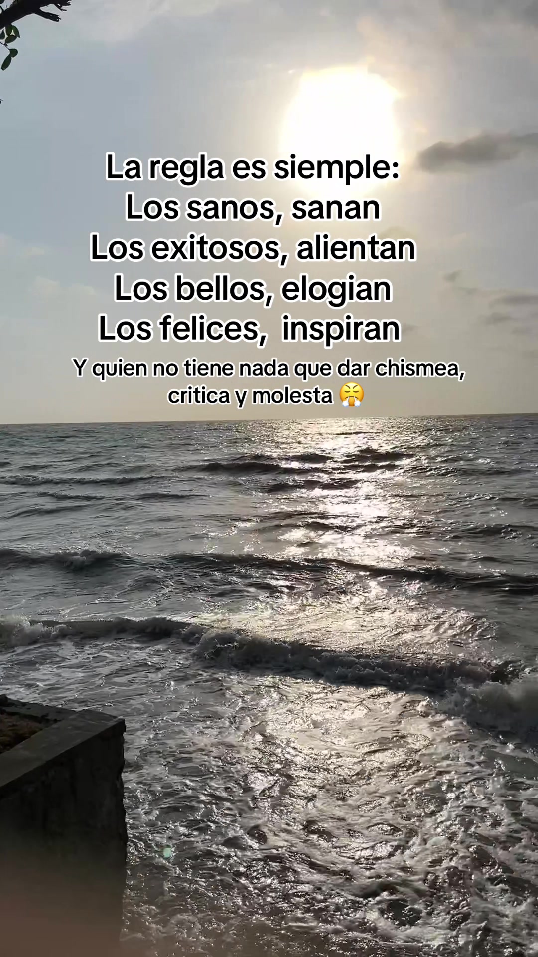 @Mariana Gil