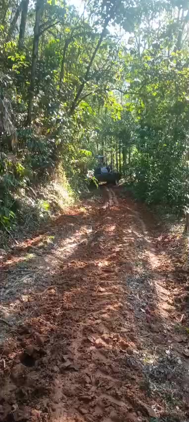 @vilmar alemão