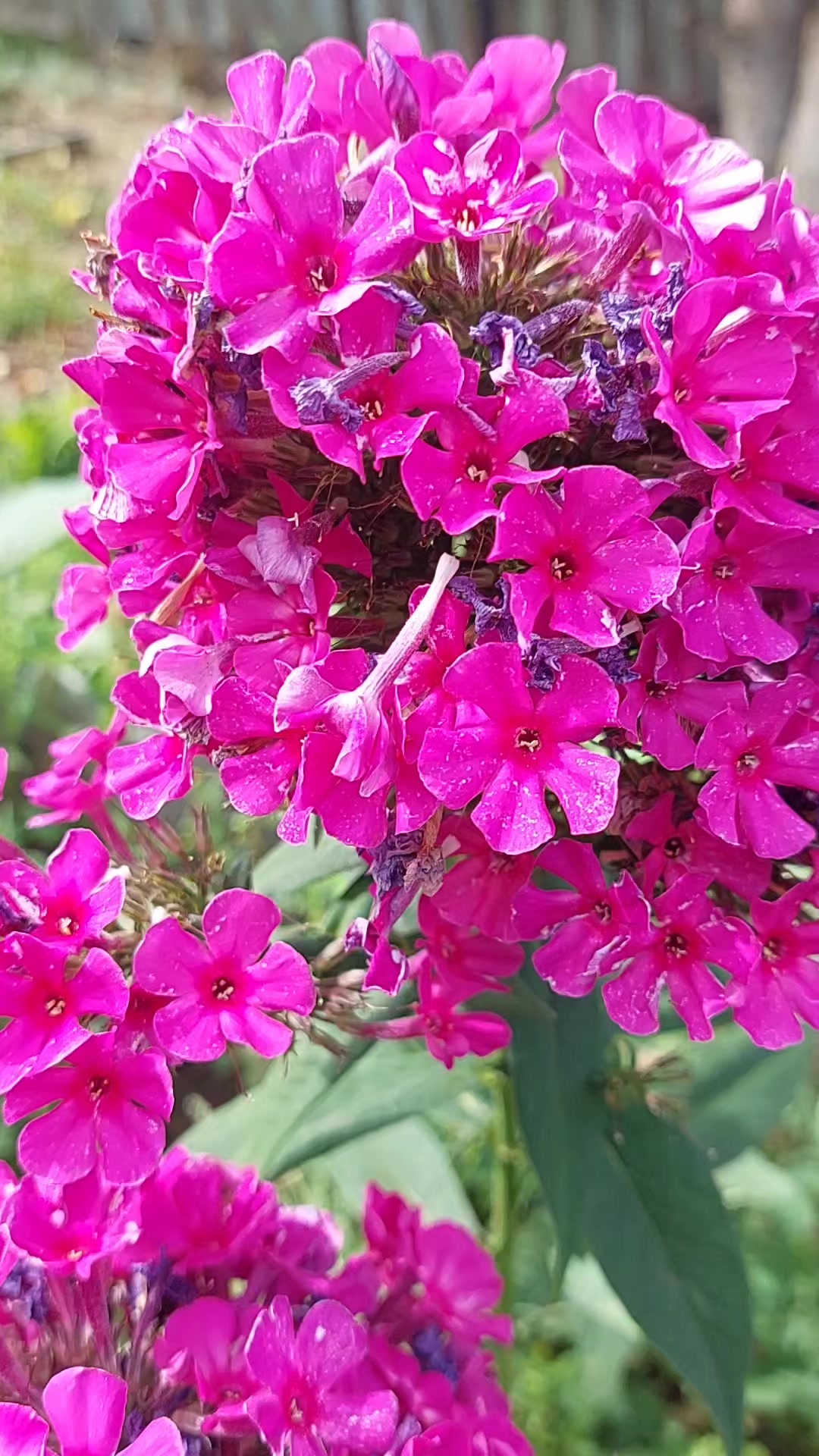@Галина Кравчук