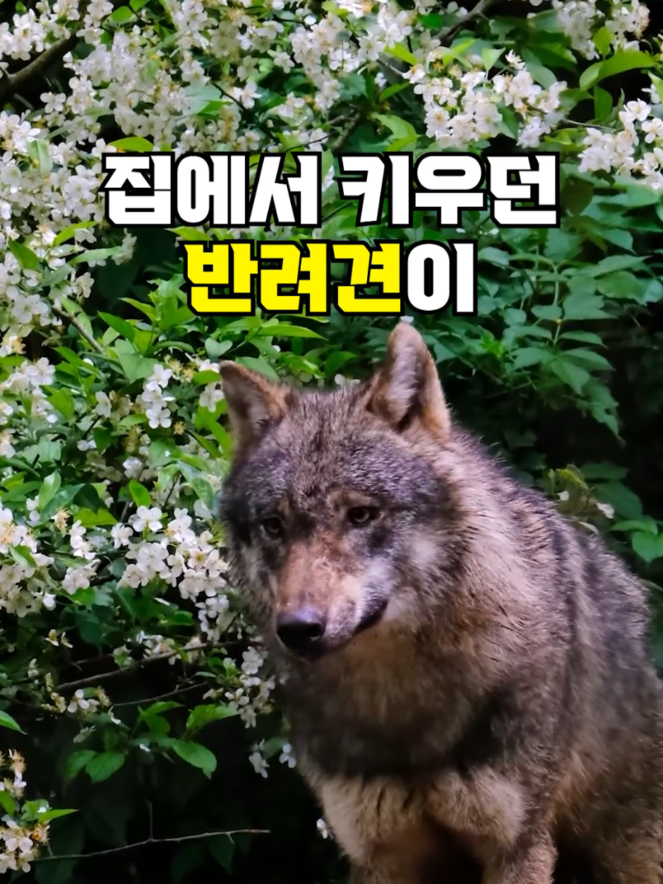 @뚝딱 상식 뚝배기