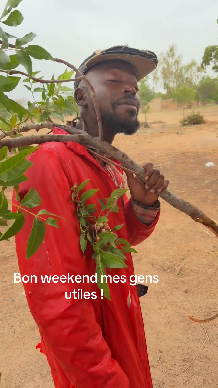 @augustapalenfo