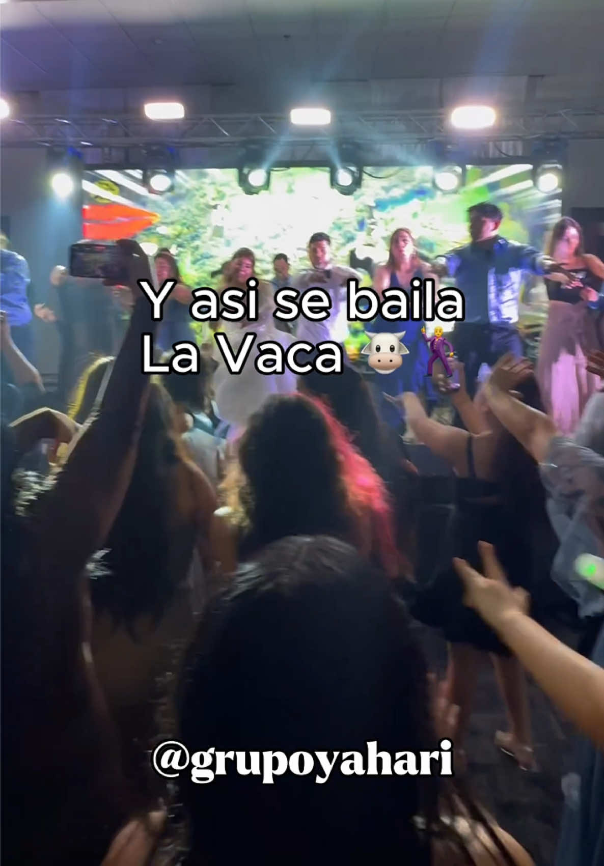 @Grupo Yahari