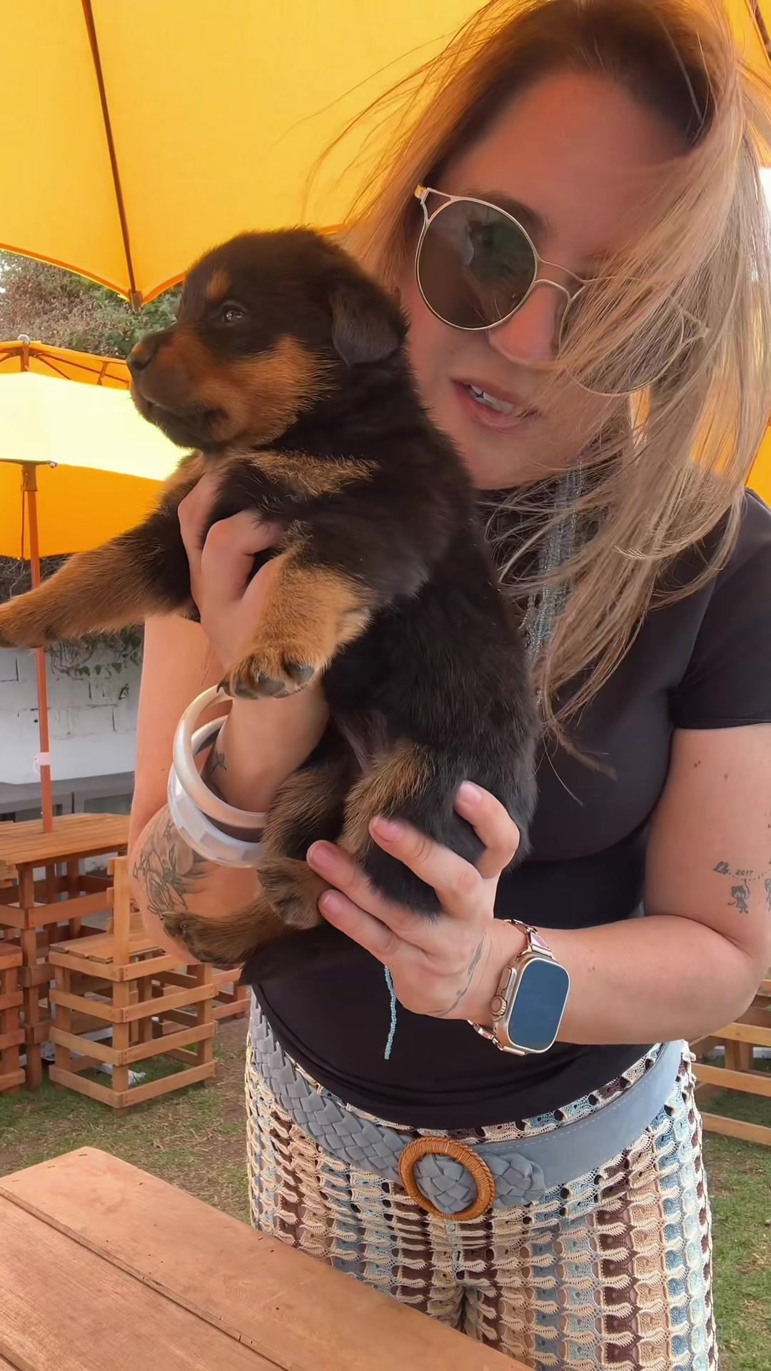 @I love DOGS