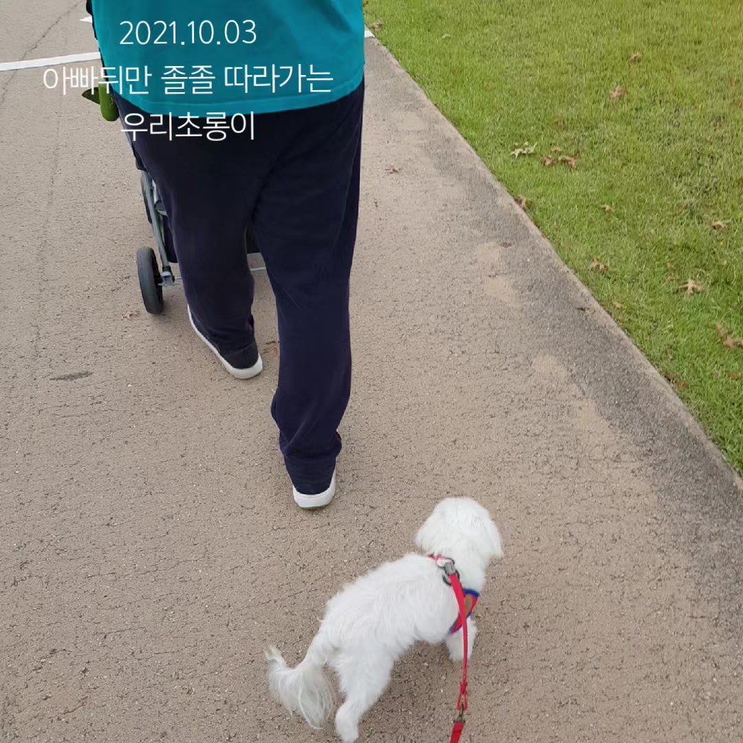 @초롱맘