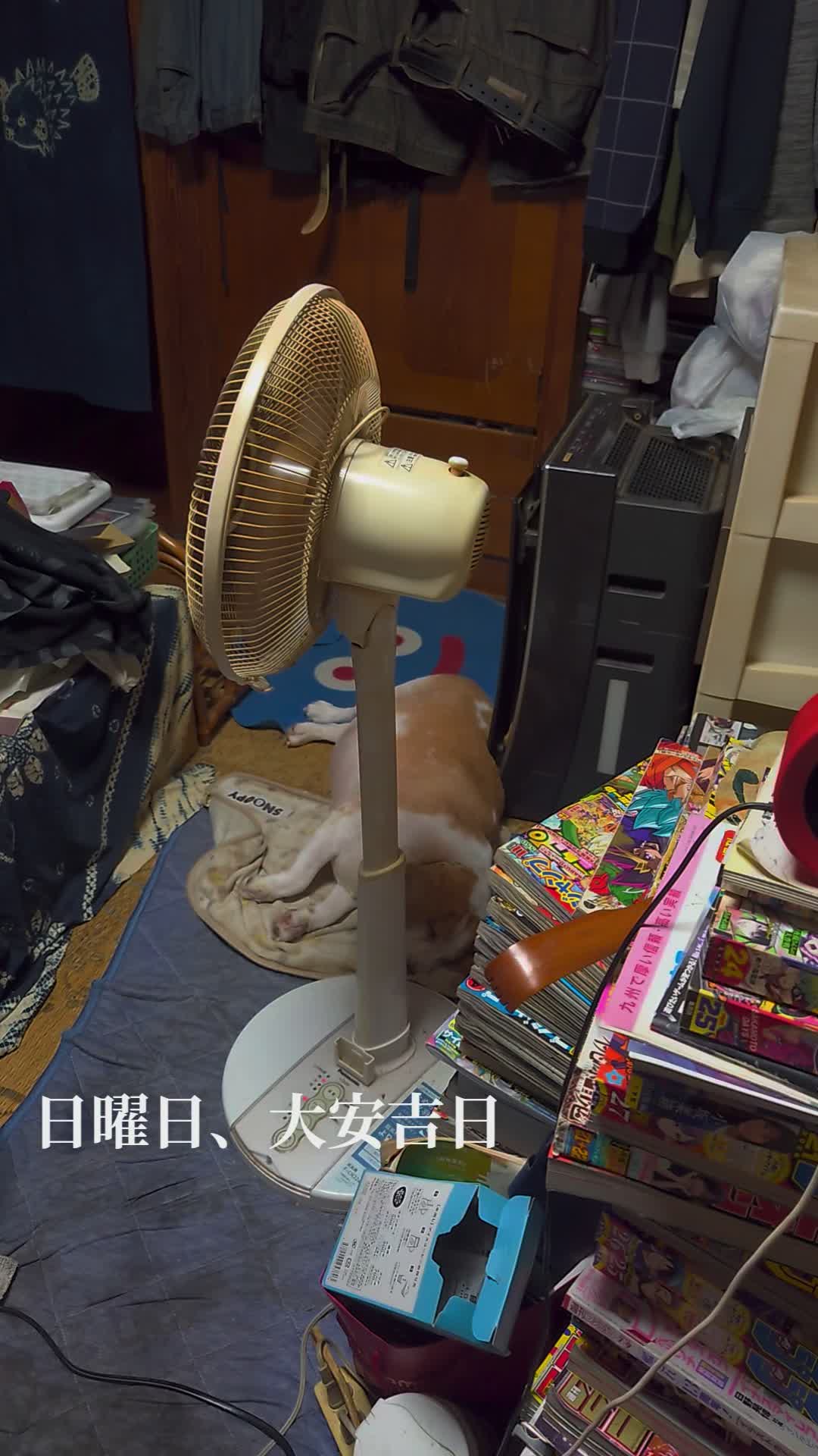 @そら