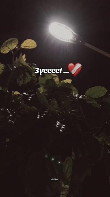 @waileee_.🐺