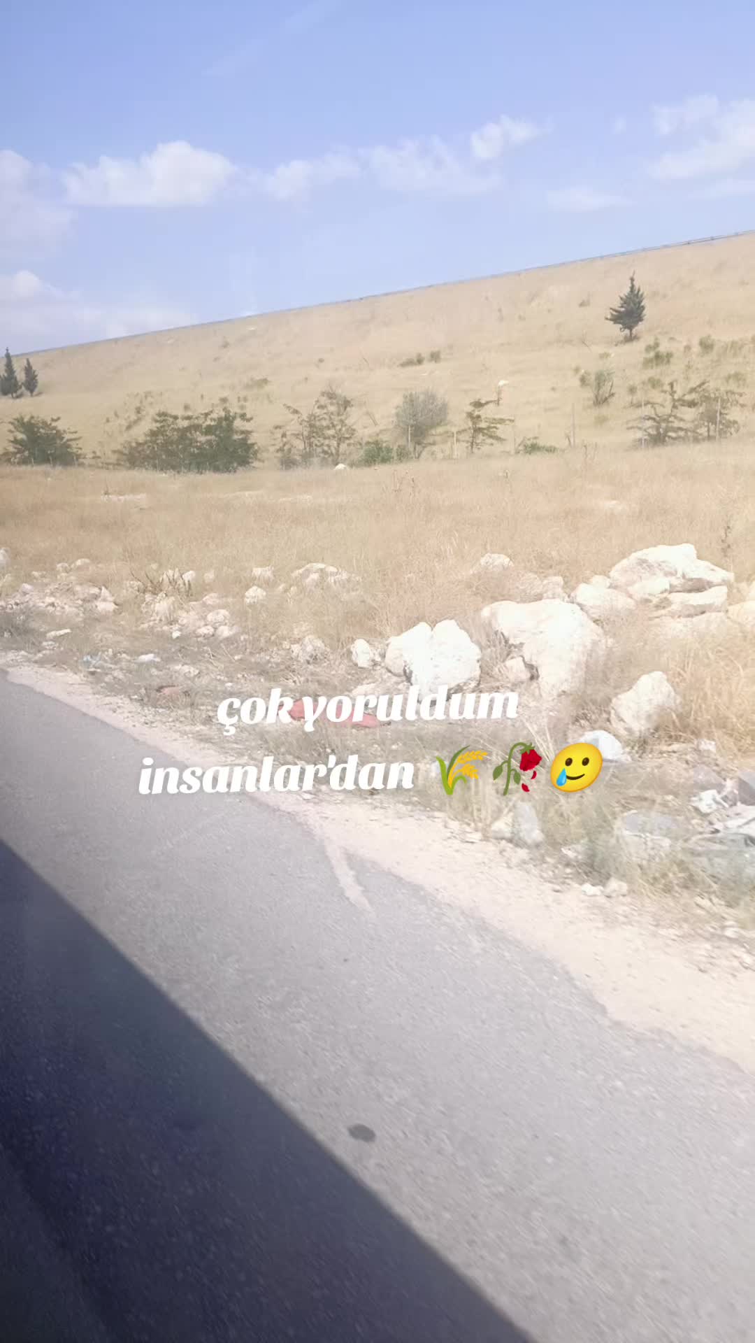 @Zeyno günn