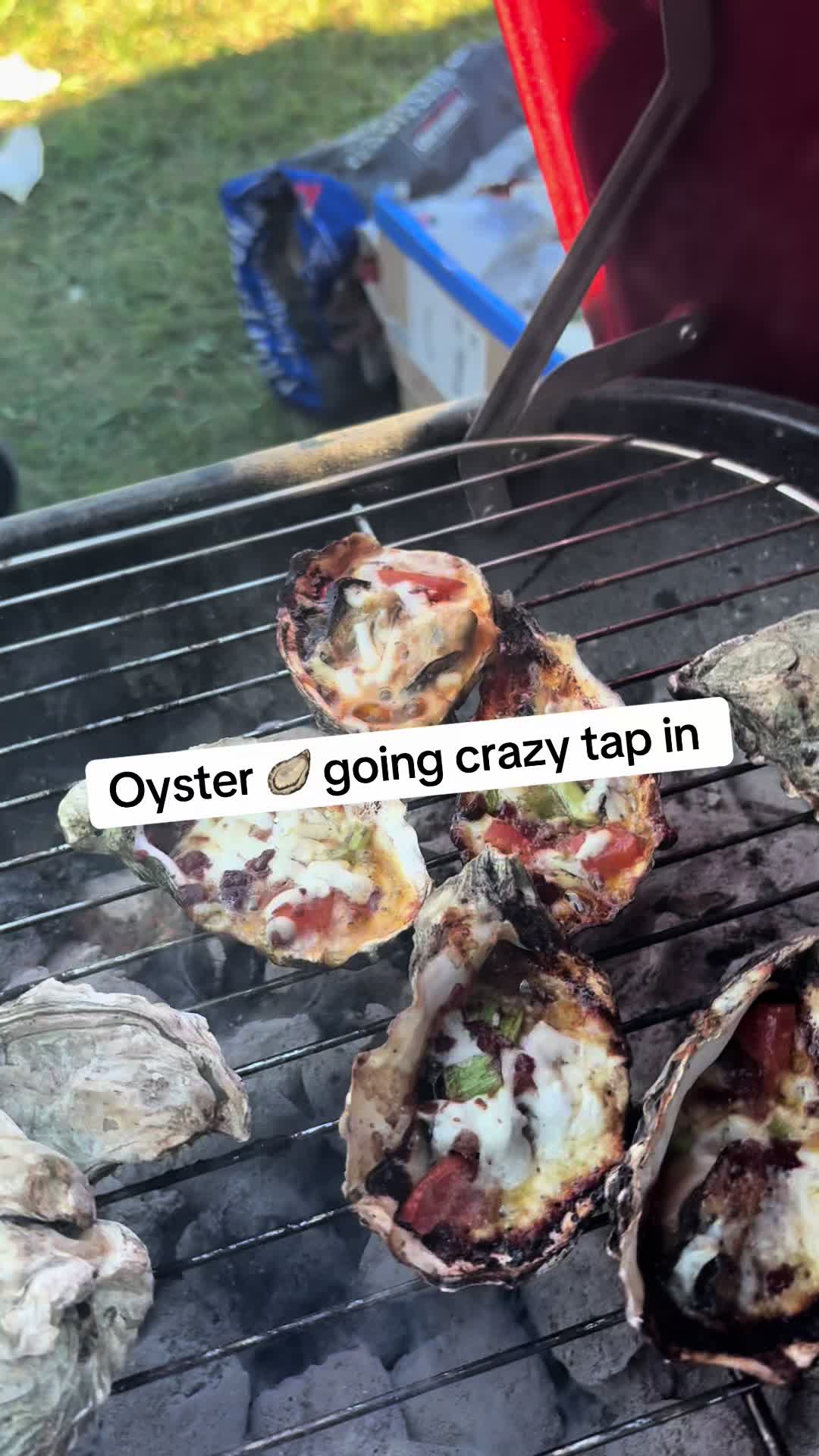 @Yay area Food reviews