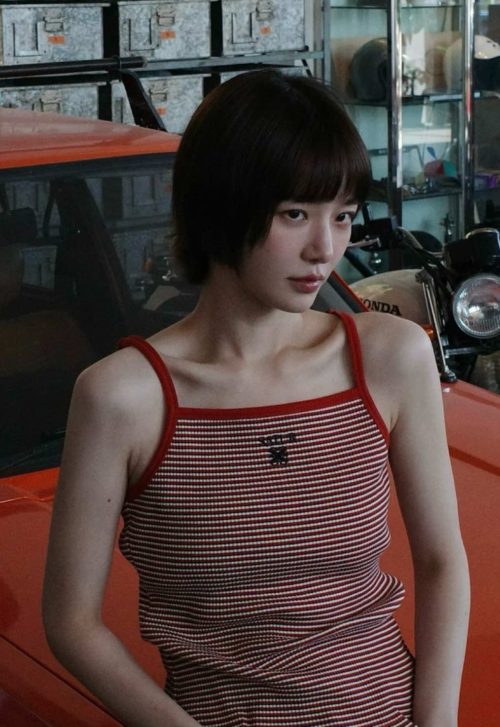 @โ.ห clove ๐ฃฒ๐