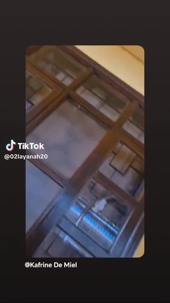 @olivialou