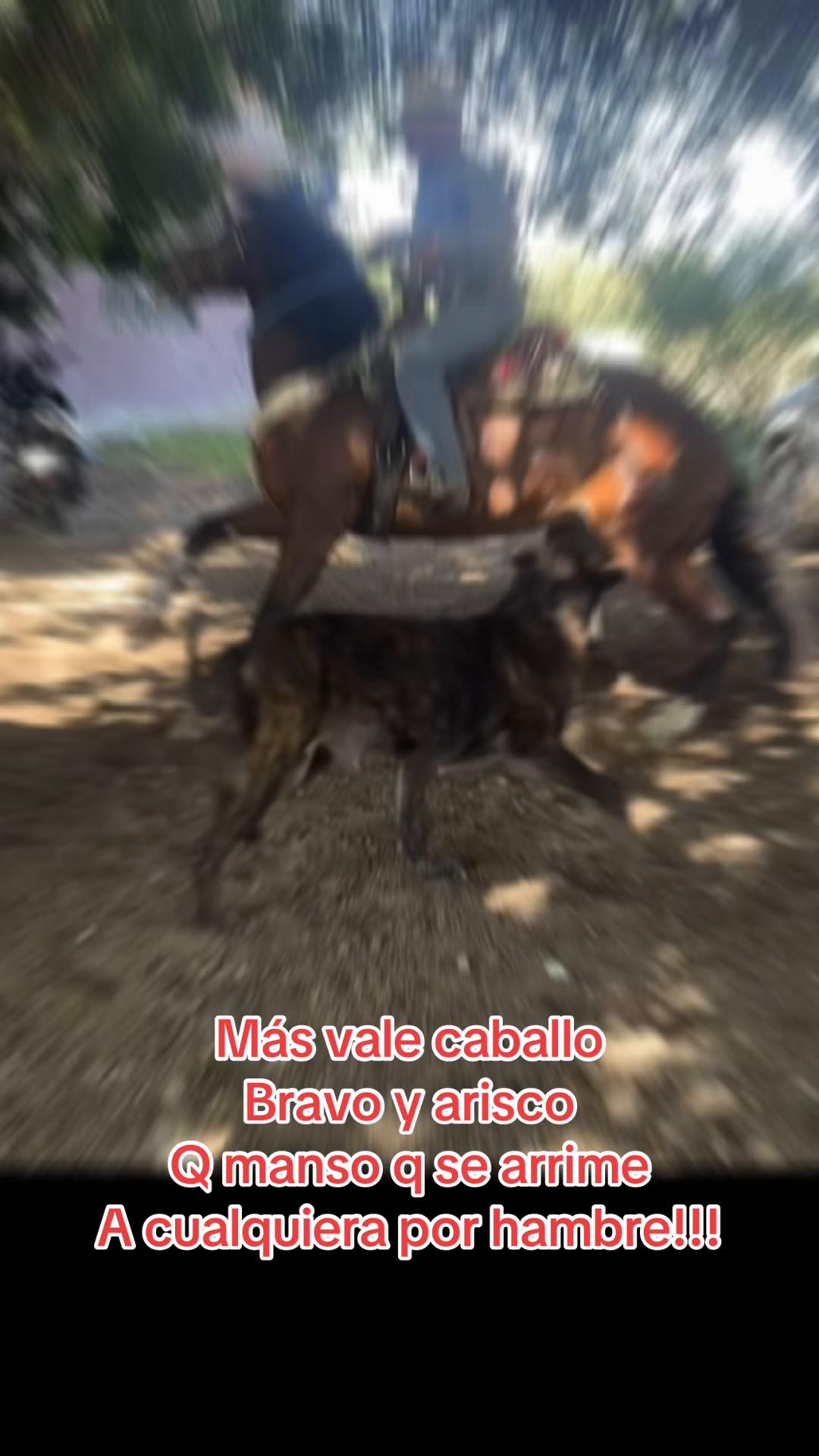 @Dulce