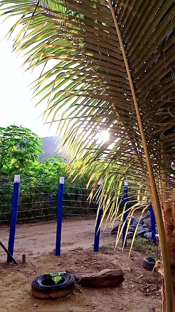 @Potiraguá Bahía e região