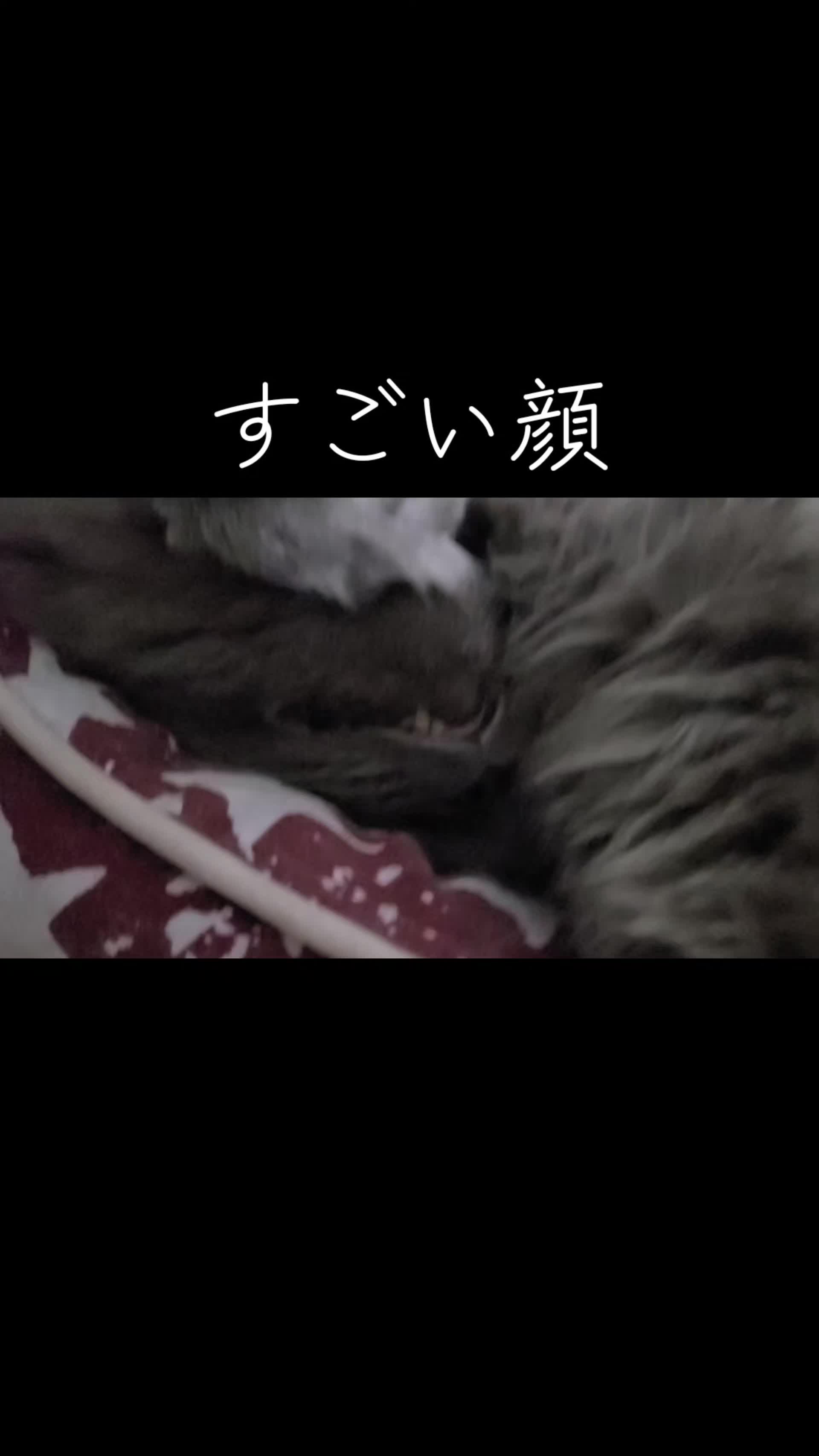 @沙亜代