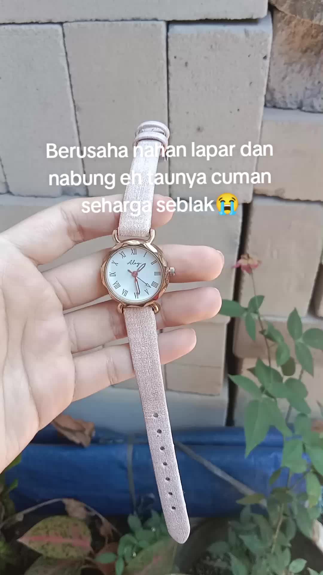 @S-tetik 🛒