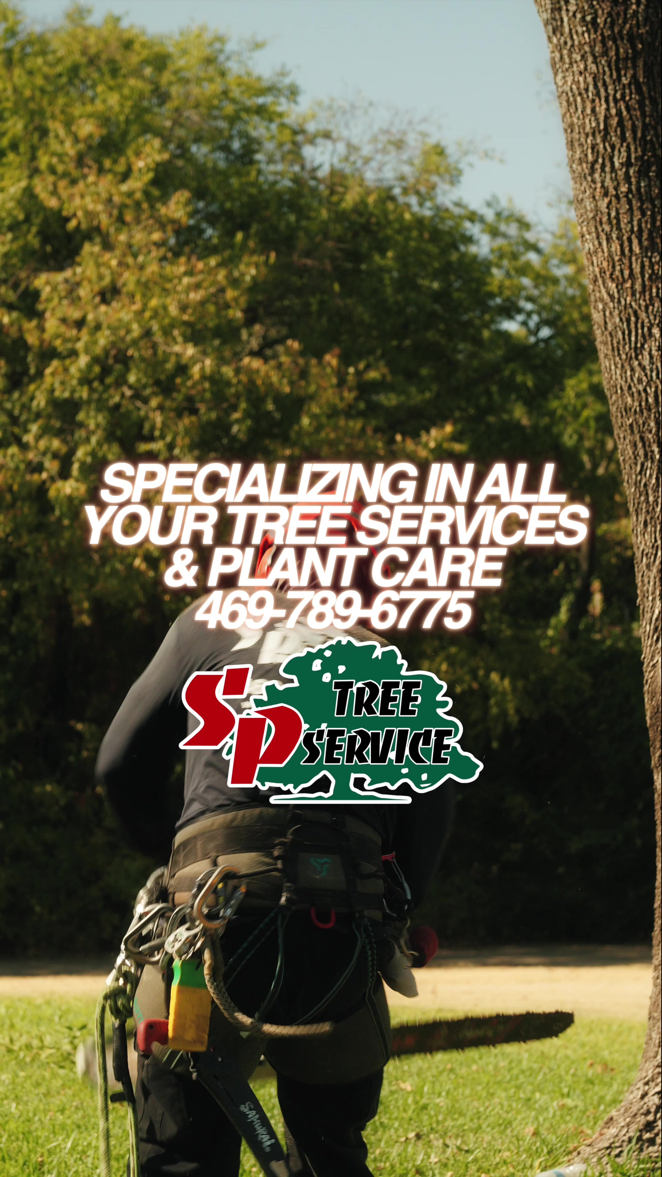 @SPTreeService