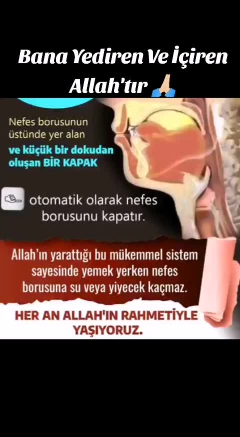 @Tuğçe Karaca
