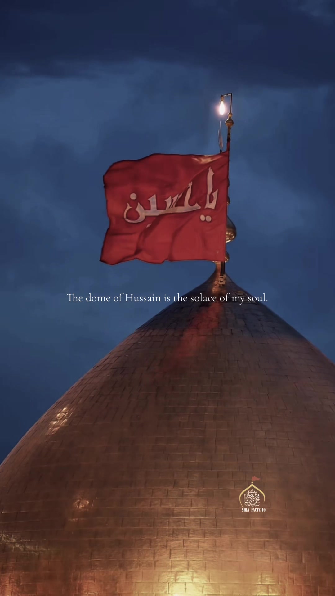 @Shia Facts ۱۱۰ 💫