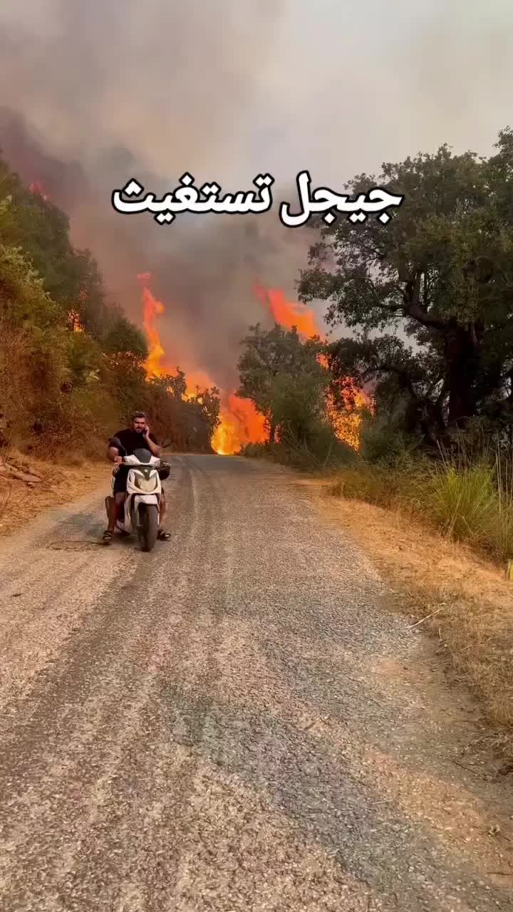 @Mostafa Auto ๐