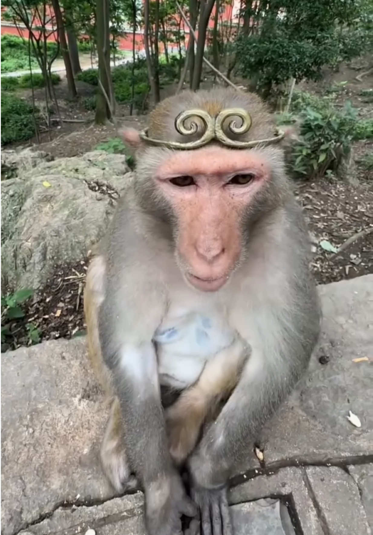 @Webdevil33 👑👑👑