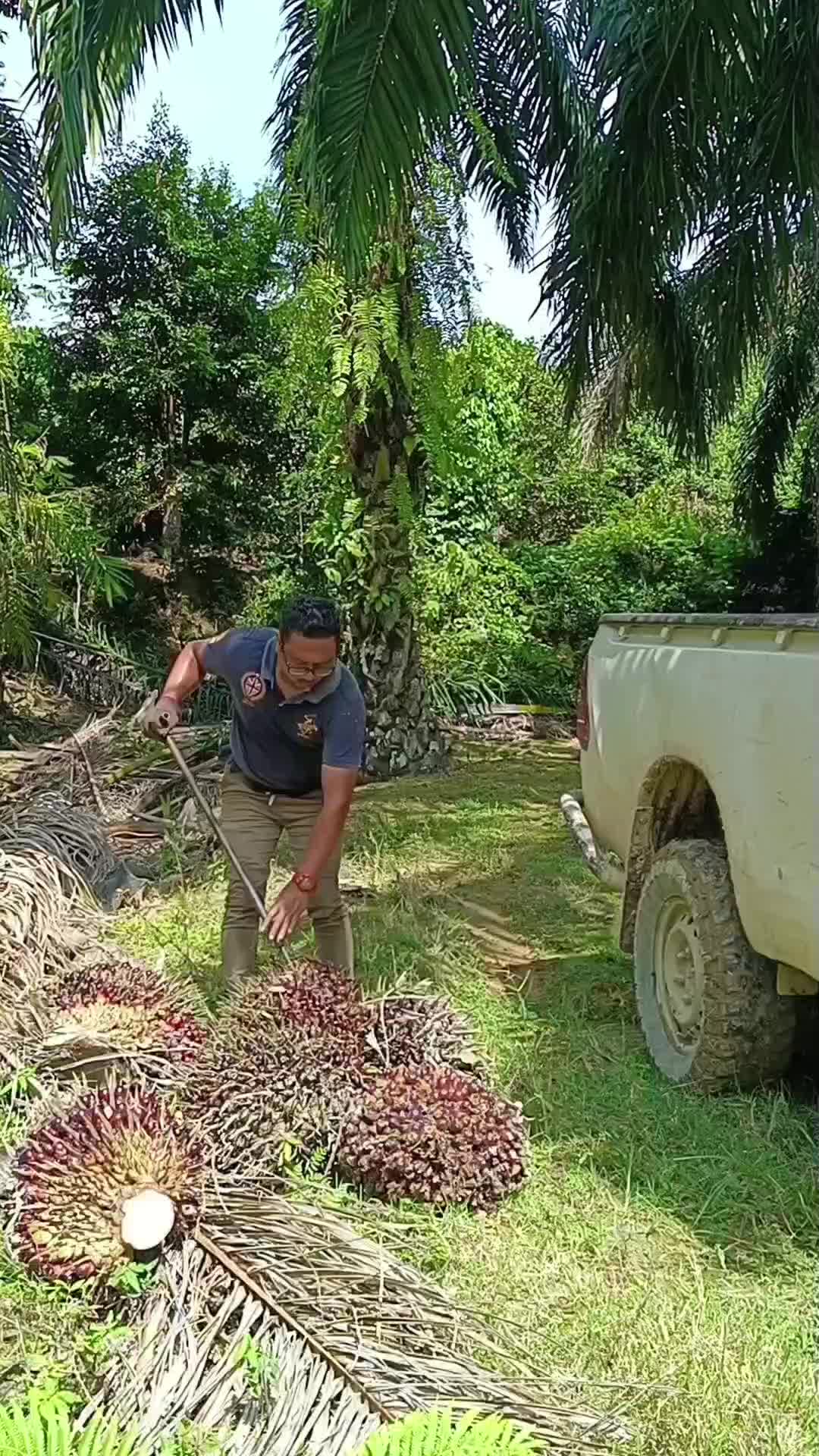 @RoHaIzAd_Rahim🇲🇾🇲🇾