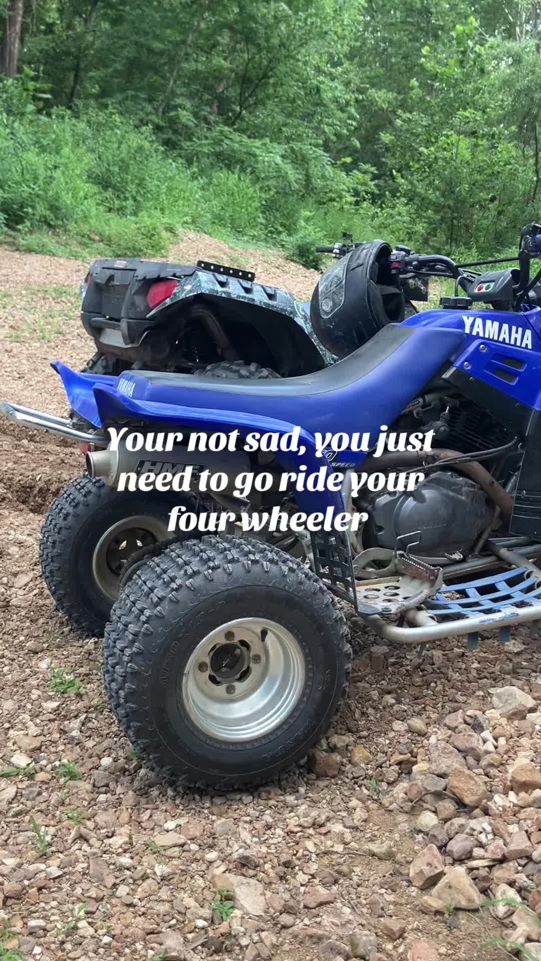 @350_hud