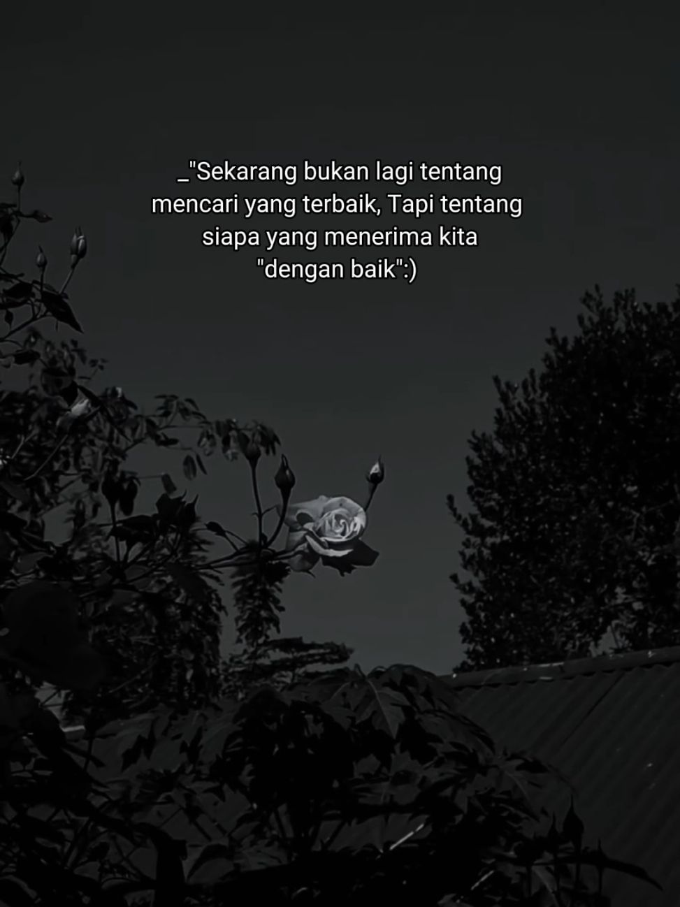 @Alfat