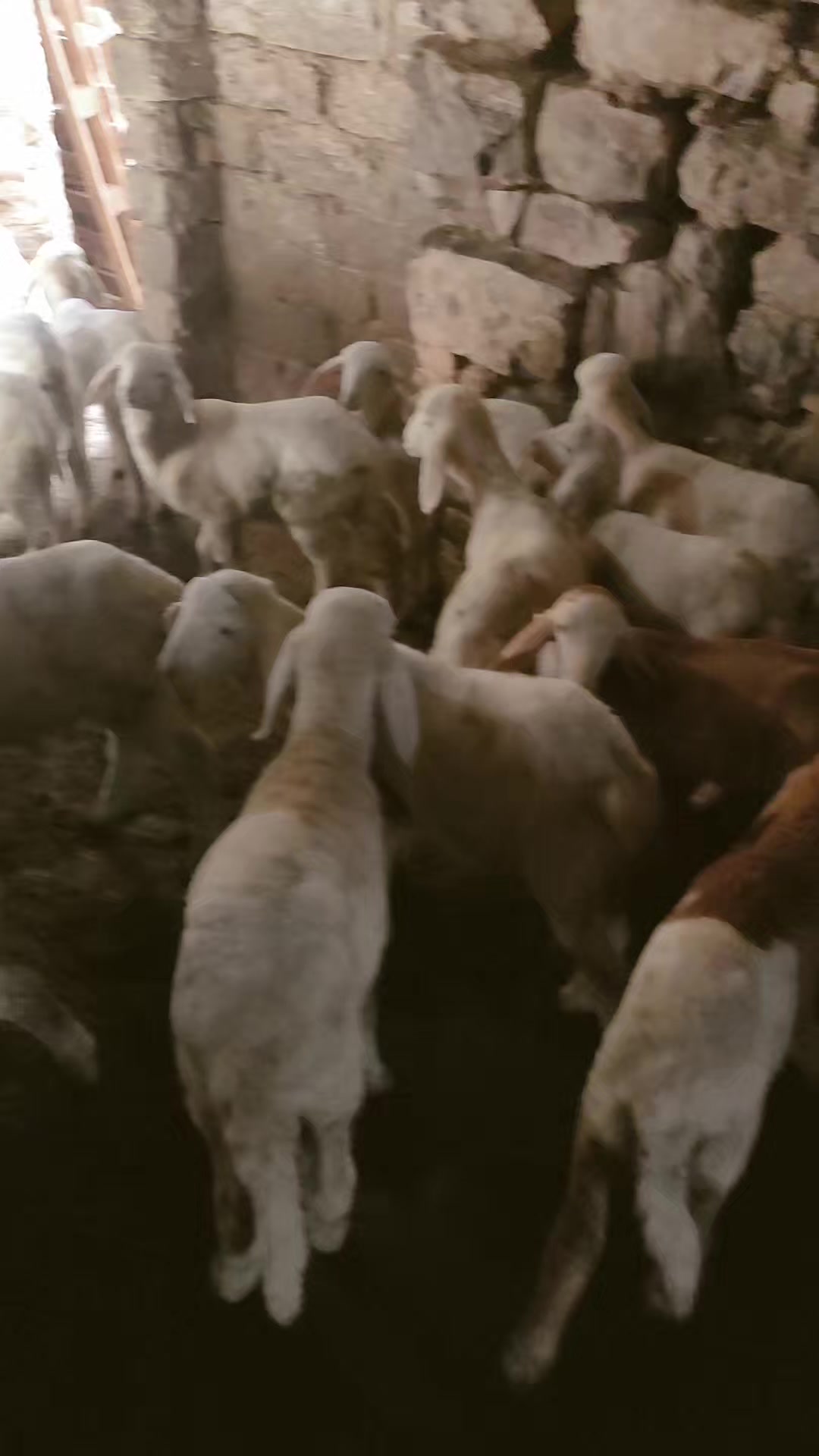 @طبيب بيطري و أفتخر